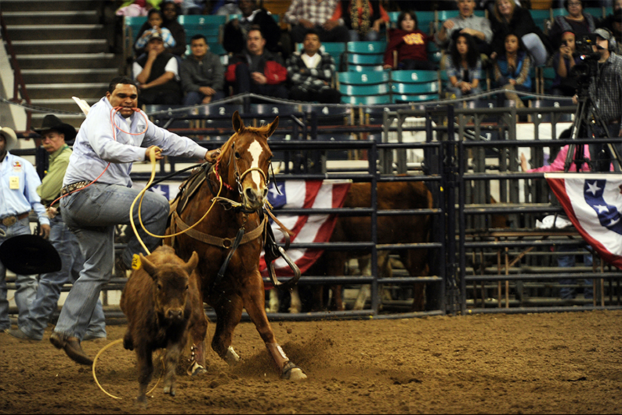 Tie-down Roping