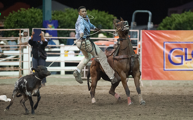 Calf Roping