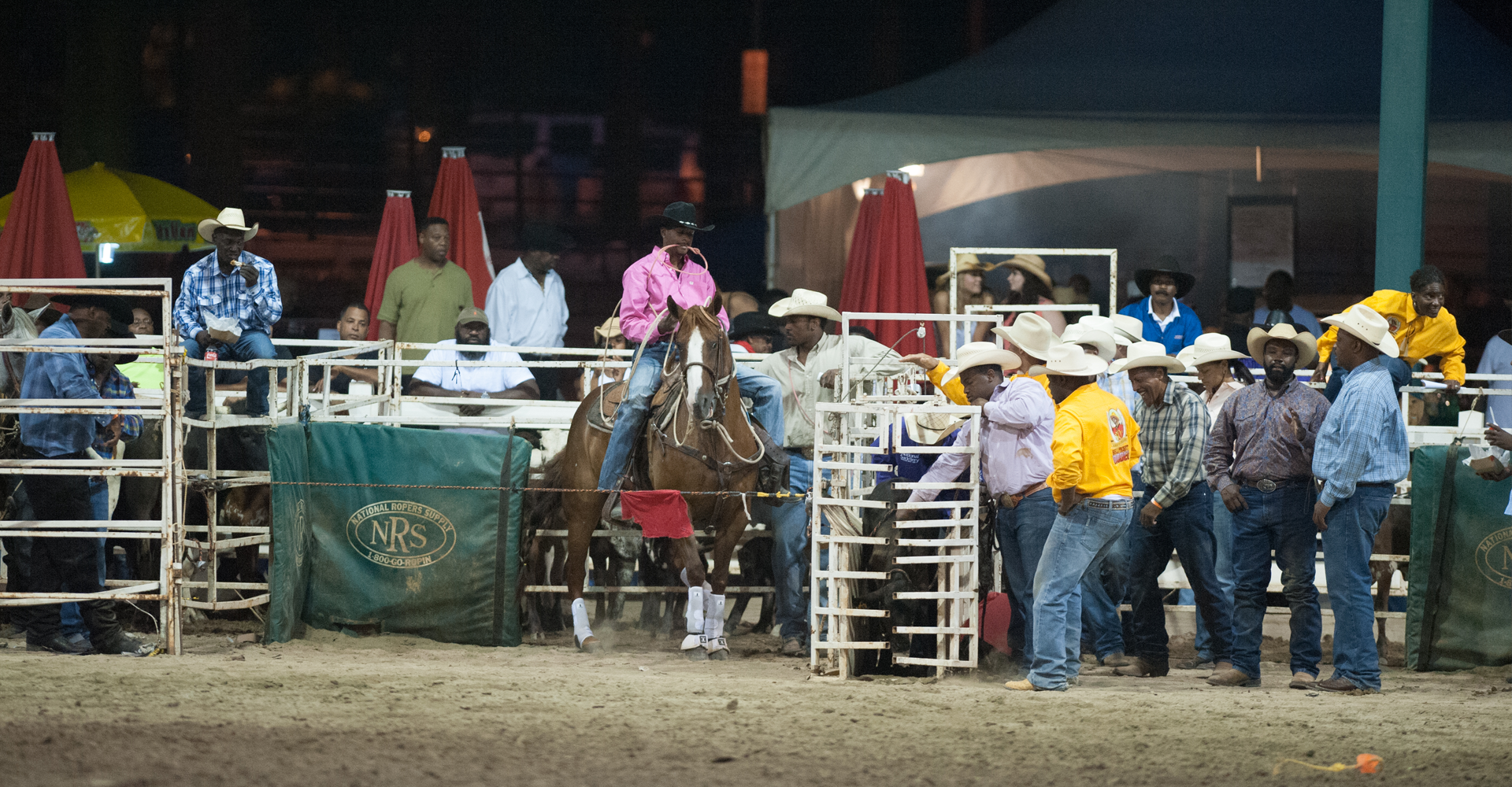 Tie Down Roping